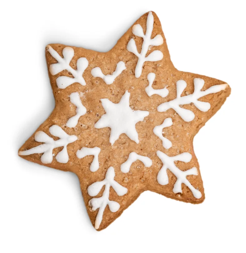 Pepparkaksstjärna dekorerad med vit kristyr.