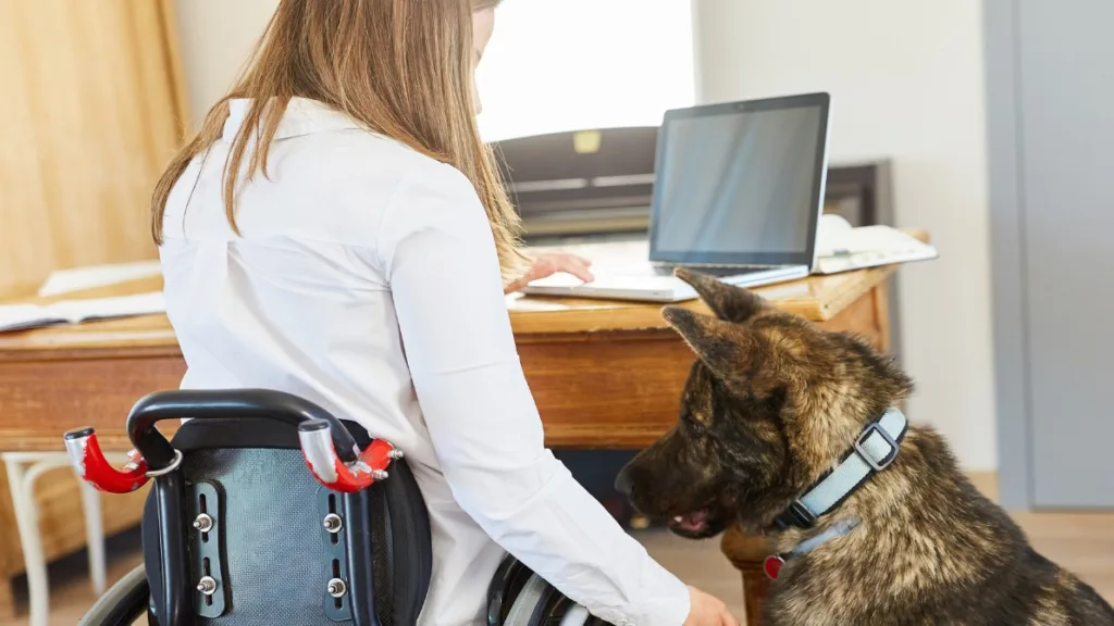 Kvinna i långt hår och vit blus. Hon sitter vid ett bord med en laptop. Hon sitter i rullstol och har ryggen mot kameran. Bredvid henne, på golvet, sitter en schäfer.