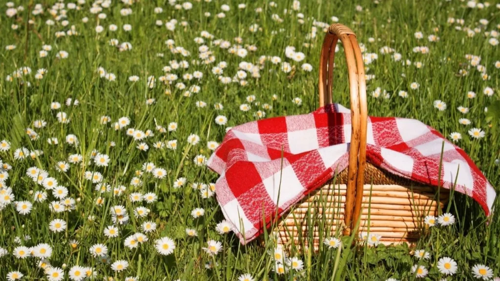 Picknickkorg på en äng med prästkragar. I korgen ligger en röd-vitrutig duk.